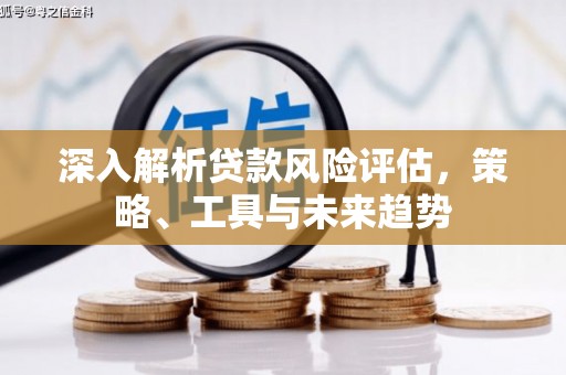 双溪深入解析贷款风险评估，策略、工具与未来趋势