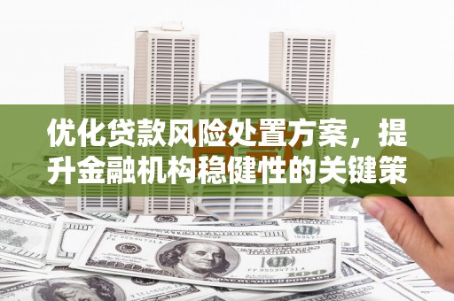 双溪优化贷款风险处置方案，提升金融机构稳健性的关键策略