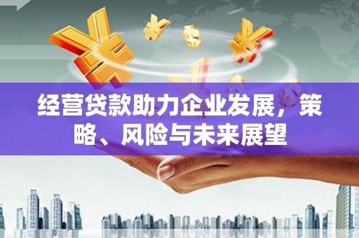 双溪经营贷款助力企业发展，策略、风险与未来展望