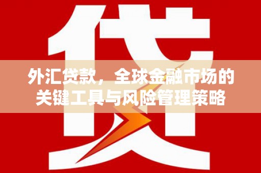 双溪外汇贷款，全球金融市场的关键工具与风险管理策略