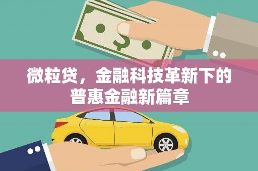 双溪微粒贷，金融科技革新下的普惠金融新篇章