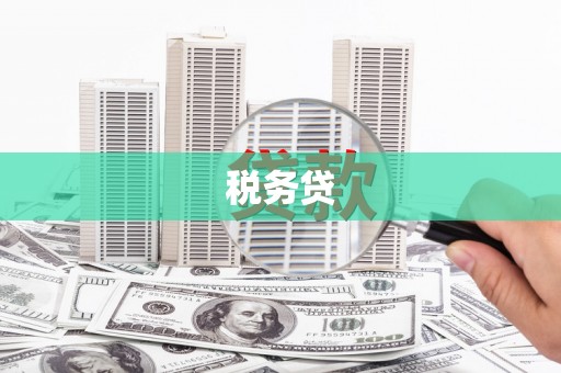 双溪税务贷