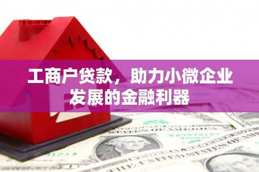 双溪工商户贷款，助力小微企业发展的金融利器