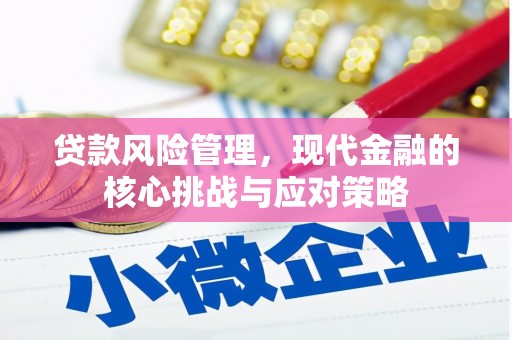 双溪贷款风险管理，现代金融的核心挑战与应对策略