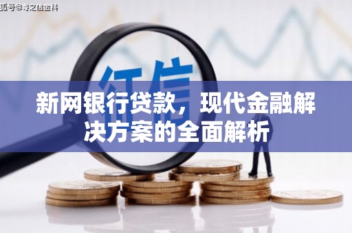 双溪新网银行贷款，现代金融解决方案的全面解析