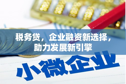 双溪税务贷，企业融资新选择，助力发展新引擎