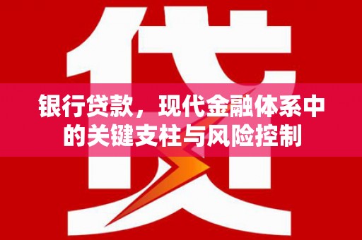 双溪银行贷款，现代金融体系中的关键支柱与风险控制