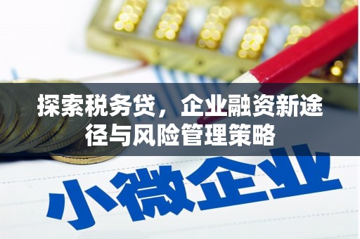 双溪探索税务贷，企业融资新途径与风险管理策略
