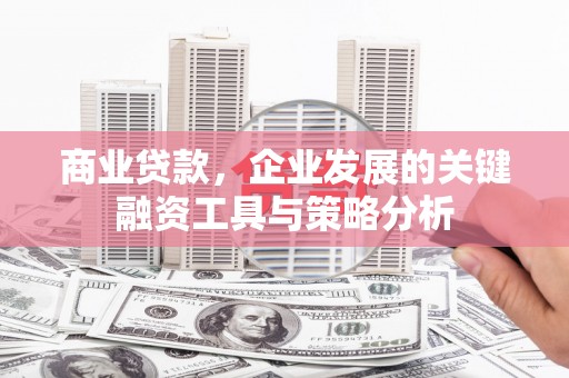 双溪商业贷款，企业发展的关键融资工具与策略分析