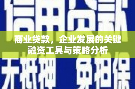 双溪商业贷款，企业发展的关键融资工具与策略分析