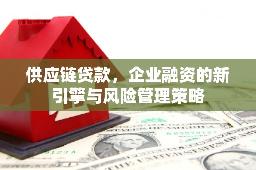 双溪供应链贷款，企业融资的新引擎与风险管理策略