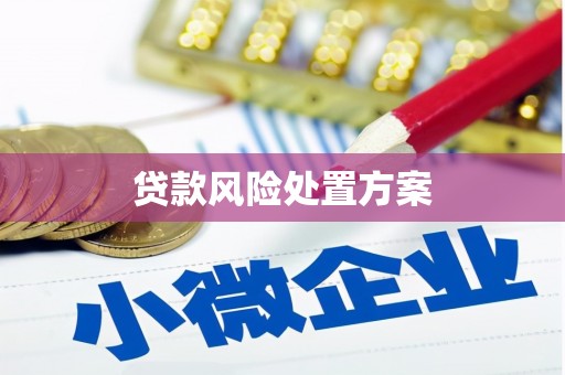 双溪贷款风险处置方案