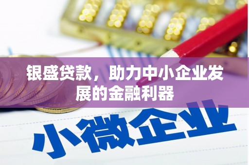 双溪银盛贷款，助力中小企业发展的金融利器