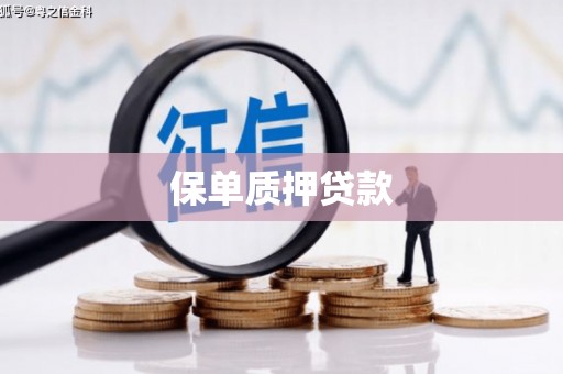双溪保单质押贷款