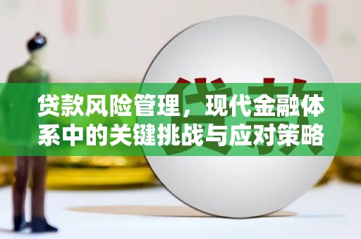 双溪贷款风险管理，现代金融体系中的关键挑战与应对策略