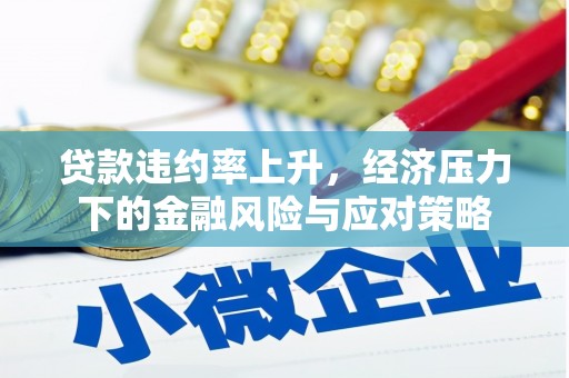双溪贷款违约率上升，经济压力下的金融风险与应对策略