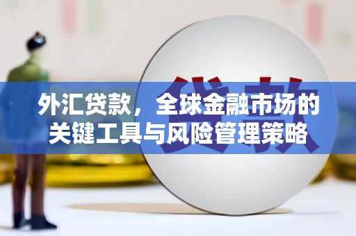 双溪外汇贷款，全球金融市场的关键工具与风险管理策略