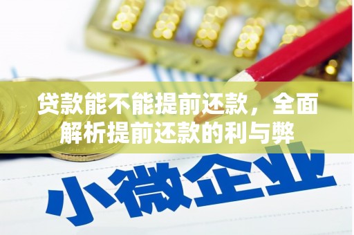 双溪贷款能不能提前还款，全面解析提前还款的利与弊