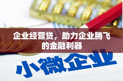 双溪企业经营贷，助力企业腾飞的金融利器