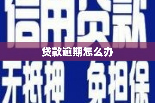 双溪贷款逾期怎么办
