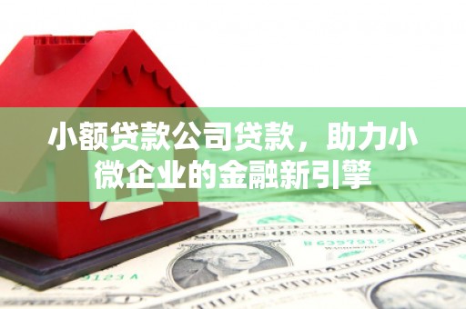 双溪小额贷款公司贷款，助力小微企业的金融新引擎