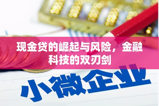 双溪现金贷的崛起与风险，金融科技的双刃剑