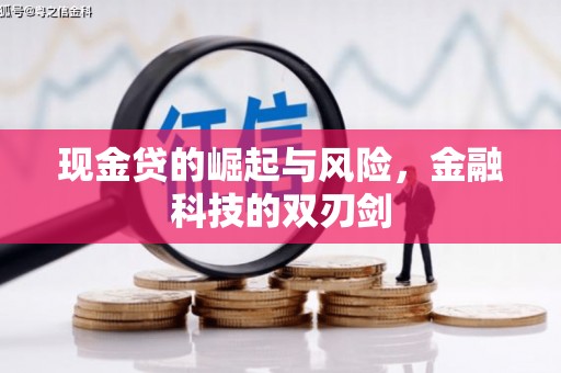 双溪现金贷的崛起与风险，金融科技的双刃剑