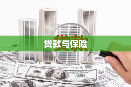 双溪贷款与保险