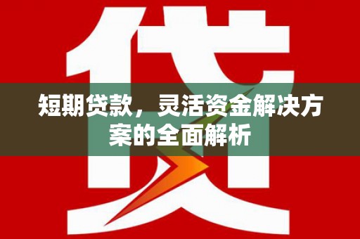 双溪短期贷款，灵活资金解决方案的全面解析