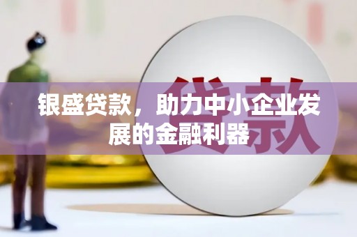 双溪银盛贷款，助力中小企业发展的金融利器