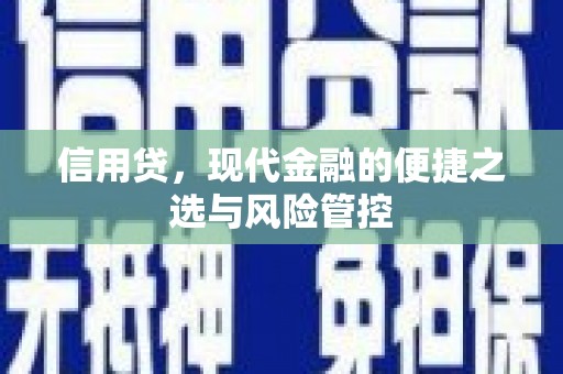 双溪信用贷，现代金融的便捷之选与风险管控