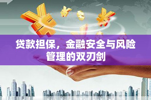 双溪贷款担保，金融安全与风险管理的双刃剑