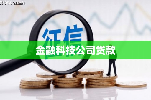 双溪金融科技公司贷款