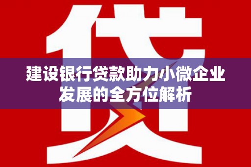 双溪建设银行贷款助力小微企业发展的全方位解析