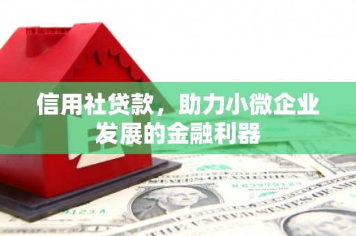 双溪信用社贷款，助力小微企业发展的金融利器