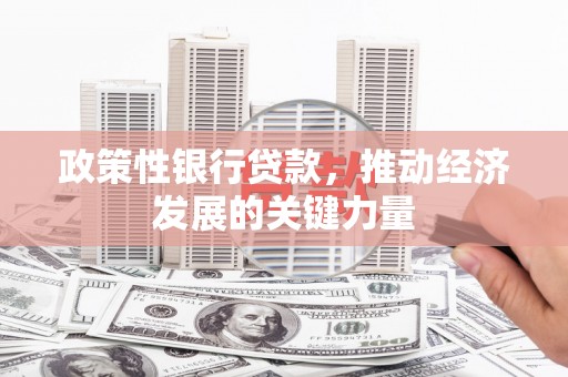 双溪政策性银行贷款，推动经济发展的关键力量