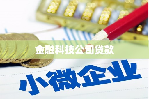 双溪金融科技公司贷款