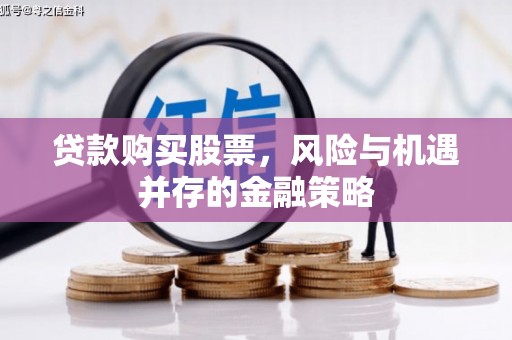 双溪贷款购买股票，风险与机遇并存的金融策略