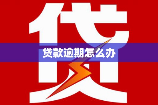 双溪贷款逾期怎么办