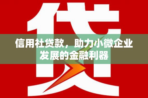 双溪信用社贷款，助力小微企业发展的金融利器