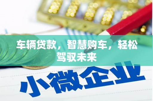双溪车辆贷款，智慧购车，轻松驾驭未来