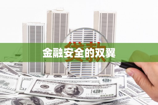 双溪金融安全的双翼