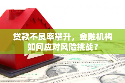 双溪贷款不良率攀升，金融机构如何应对风险挑战？