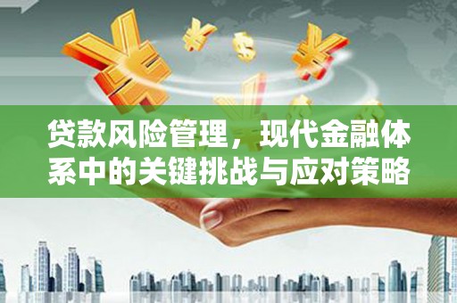 双溪贷款风险管理，现代金融体系中的关键挑战与应对策略
