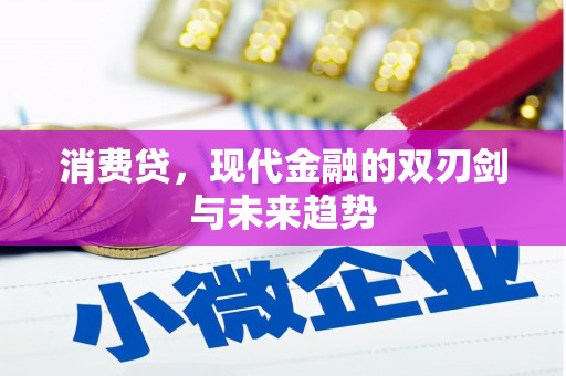 双溪消费贷，现代金融的双刃剑与未来趋势