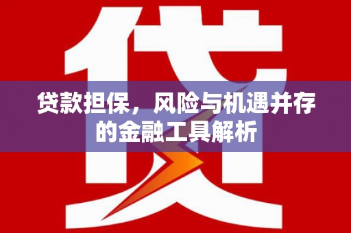 双溪贷款担保，风险与机遇并存的金融工具解析