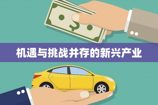 双溪机遇与挑战并存的新兴产业