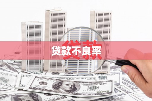 双溪贷款不良率