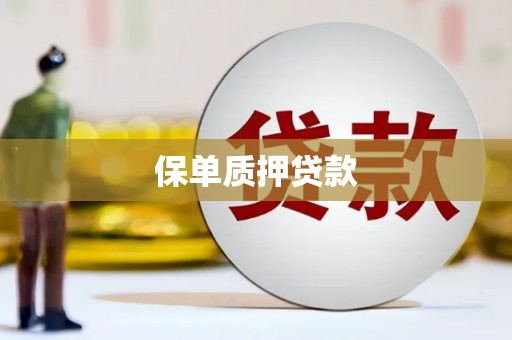 双溪保单质押贷款