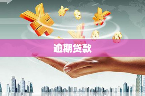 双溪逾期贷款